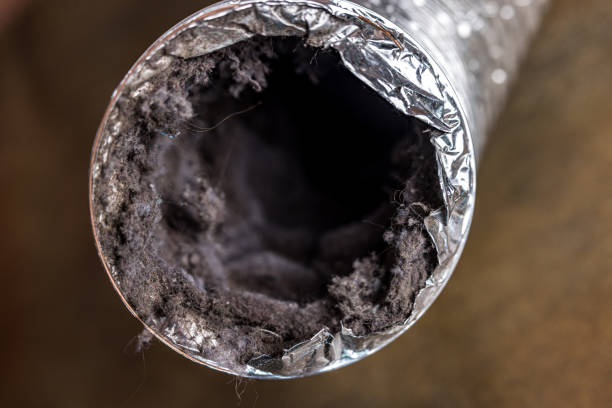 Best Residential Air Duct Cleaning  in Rohnert Park, CA
